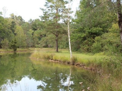 camping L'Etang Bleu photo 18