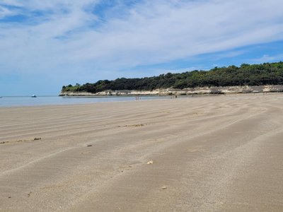 Cliquez pour découvrir toutes les photos de l'ÉTABLISSEMENT ! camping Bellevue photo 23