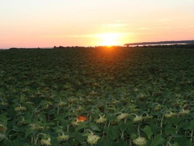 Cliquez pour découvrir toutes les photos de l'ÉTABLISSEMENT ! camping Bellevue photo 9