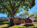 Cliquez pour découvrir toutes les photos de l'HÉBERGEMENT ! mini-maison - camping Bellevue photo 2