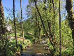 Camping Pas Cher vous présente avec son site Officiel campingpascher.fr, le Camping La Vallée classé 2 étoiles, situé sur la commune de La Tour D'auvergne dans le département Puy-de-dôme (Auvergne) en France. Le camping La Vallée, vous présente un hébergement de type chalet pour 6 personnes et télévision. Le camping La Vallée vous propose du dimanche 10 mai au dimanche 17 mai 2026 pour 7 nuits à 483€. Cette location propose 75 dates différentes pour réserver votre séjour. Découvrez également les 23 autres gammes d'hébergements du camping. Les Avis clients pour le Camping La Vallée sont excellents avec une note moyenne de 8 sur 10. Animations familiales, Aire de jeux enfants, Baby-foot, Boulangerie, Bureau de tabac, Dépôt de pain, Snack/Bar, Épicerie,... En savoir plus : cliquez-ICI.