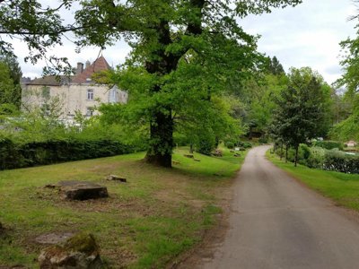 établissement Château Le Verdoyer photo 29