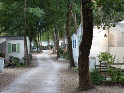 camping Les Chênes Verts photo 12