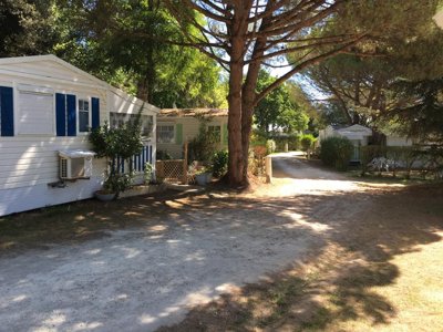 camping Les Chênes Verts photo 13