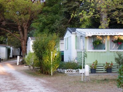 camping Les Chênes Verts photo 3