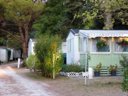 camping Les Chênes Verts photo 3