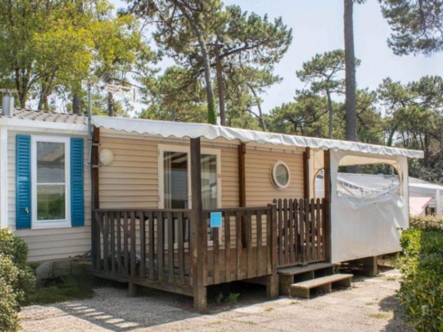 Camping Pas Cher vous présente avec son site Officiel campingpascher.fr, le Camping Le Dauphin classé 4 étoiles, situé sur la commune de Saint Georges De Didonne dans le département Charente-maritime (Poitou Charentes) en France. Le camping Le Dauphin, vous présente un hébergement de type mobil-home de 32 m² et télévision. Le camping Le Dauphin vous propose du jeudi 04 juin au jeudi 11 juin 2026 avec une PROMO de DERNIÈRE MINUTE, en promotion à -10% pour 7 nuits à 283,50 € au lieu de 315,0 € soit une Économie de 31,50 €. Cette location propose 30 dates différentes pour réserver votre séjour. Découvrez également les 19 autres gammes d'hébergements du camping. Les Avis clients pour le Camping Le Dauphin sont excellents avec une note moyenne de 8 sur 10. Parc aquatique, Piscine couverte, Piscine extérieure, Animations familiales, Club enfants, Aire de jeux enfants, Baby-foot, Centre équestre, Cyclisme, Jet-ski, Paddle, Ping-pong, Pétanque, Randonnée, Salle de jeux vidéo, Terrain multisports, Voile, kiteSurf, Bar, Restaurant, Épicerie,... En savoir plus : cliquez-ICI.