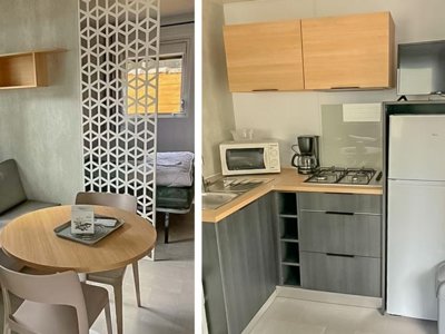 Cliquez pour découvrir toutes les photos de l'HÉBERGEMENT ! mobil-home - Le Dauphin photo 3