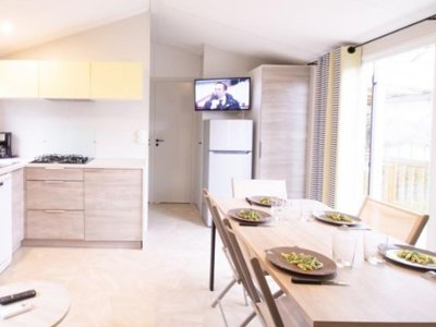 Cliquez pour découvrir toutes les photos de l'HÉBERGEMENT ! mobil-home - Le Dauphin photo 3