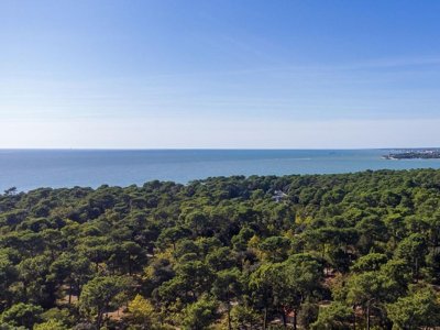 camping Le Dauphin photo 20