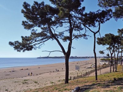 camping Le Dauphin photo 24