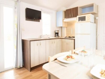 Cliquez pour découvrir toutes les photos de l'HÉBERGEMENT ! mobil-home - Le Dauphin photo 3