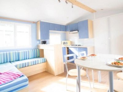 Cliquez pour découvrir toutes les photos de l'HÉBERGEMENT ! mobil-home - Le Dauphin photo 3