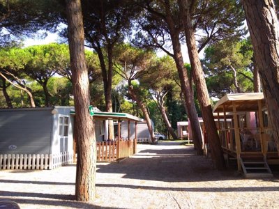 Cliquez pour découvrir toutes les photos de l'ÉTABLISSEMENT ! camping Rivaverde Easy Village photo 15