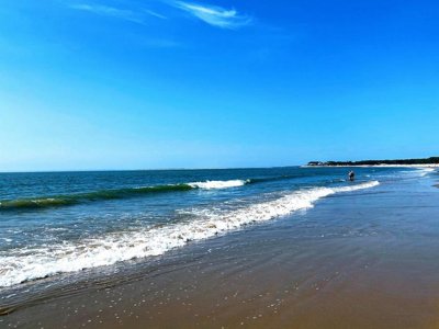 Cliquez pour découvrir toutes les photos de l'ÉTABLISSEMENT ! camping Le Royan photo 26