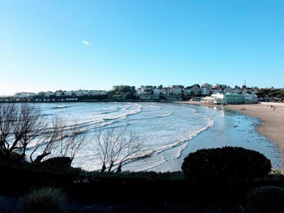 Cliquez pour découvrir toutes les photos de l'ÉTABLISSEMENT ! camping Le Royan photo 27