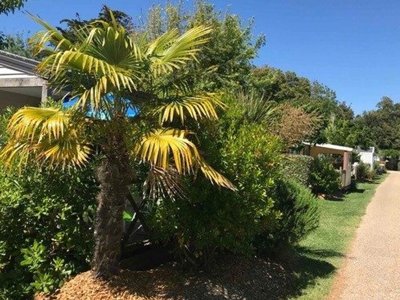 Cliquez pour découvrir toutes les photos de l'ÉTABLISSEMENT ! camping Tahiti Village photo 5