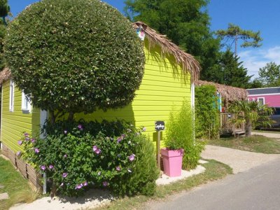 Cliquez pour découvrir toutes les photos de l'ÉTABLISSEMENT ! camping Tahiti Village photo 9