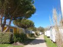 Cliquez pour découvrir toutes les photos de l'ÉTABLISSEMENT ! camping Tahiti Village photo 10