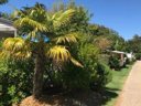 Cliquez pour découvrir toutes les photos de l'ÉTABLISSEMENT ! camping Tahiti Village photo 5