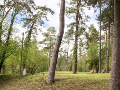 Cliquez pour découvrir toutes les photos de l'ÉTABLISSEMENT ! camping Du Lac D'Aydat photo 20