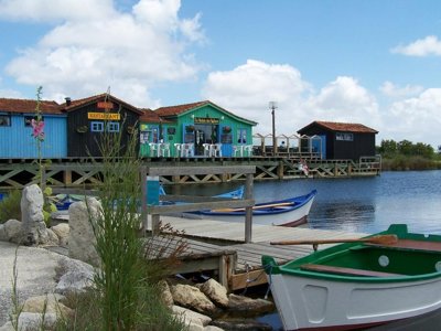 Cliquez pour découvrir toutes les photos de l'ÉTABLISSEMENT ! camping Les Pins D'Oléron photo 17
