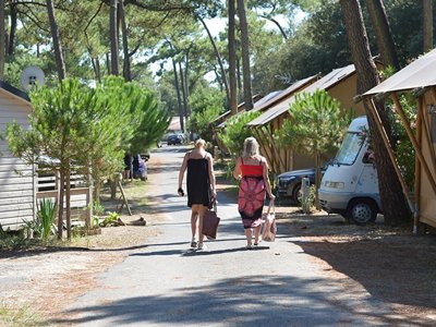 Cliquez pour découvrir toutes les photos de l'ÉTABLISSEMENT ! camping Les Pins D'Oléron photo 23
