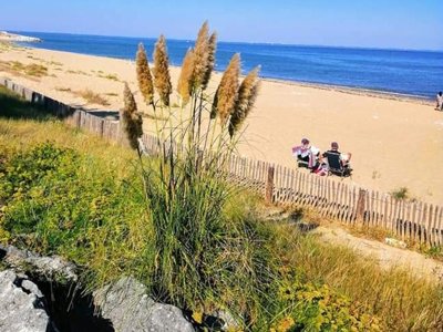 Cliquez pour découvrir toutes les photos de l'ÉTABLISSEMENT ! camping Au Pigeonnier photo 14