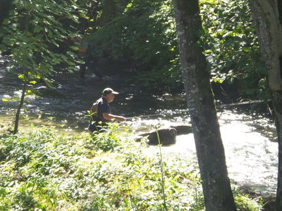 Cliquez pour découvrir toutes les photos de l'ÉTABLISSEMENT ! camping Le Lachat photo 17