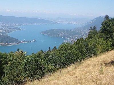 Cliquez pour découvrir toutes les photos de l'ÉTABLISSEMENT ! camping Le Lachat photo 21