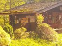 Cliquez pour découvrir toutes les photos de l'ÉTABLISSEMENT ! camping Le Lachat photo 11