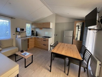 Cliquez pour découvrir toutes les photos de l'HÉBERGEMENT ! mobil-home - Le Heron photo 10