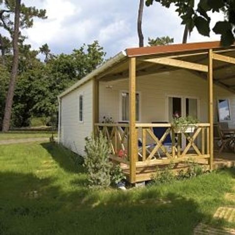 chalet - Le Sous Bois photo 1
