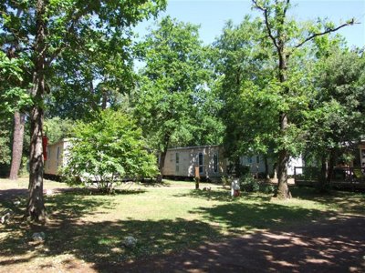 établissement Le Sous Bois photo 16