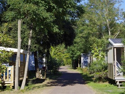 établissement Le Sous Bois photo 18