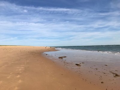 établissement Le Sous Bois photo 2