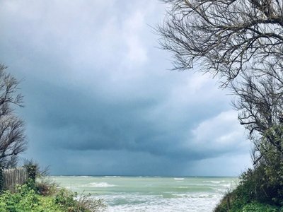 établissement Le Sous Bois photo 21