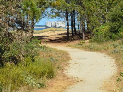 établissement Le Sous Bois photo 25