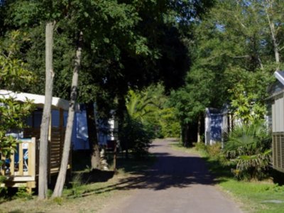Cliquez pour découvrir toutes les photos de l'HÉBERGEMENT ! mobil-home - Le Sous Bois photo 2
