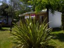 Cliquez pour découvrir toutes les photos de l'HÉBERGEMENT ! mobilhome - établissement Le Sous Bois photo 10