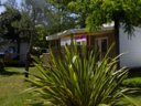 Cliquez pour découvrir toutes les photos de l'HÉBERGEMENT ! mobil-home - camping Le Sous Bois photo 5