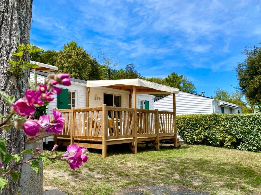 Camping Pas Cher vous présente avec son site Officiel campingpascher.fr, le Camping Les Gros Joncs classé 5 étoiles, situé sur la commune de Saint Georges D'oléron dans le département Charente-maritime (Poitou Charentes) en France. Le camping Les Gros Joncs, vous présente un hébergement de type mobil-home de 30 m² et télévision. Le camping Les Gros Joncs vous propose du dimanche 21 juin au dimanche 28 juin 2026 pour 7 nuits à 456€. Cette location propose 25 dates différentes pour réserver votre séjour. Découvrez également les 15 autres gammes d'hébergements du camping. Les Avis clients pour le Camping Les Gros Joncs sont de 7 sur 10. Mer, Parc aquatique, Piscine couverte, Piscine extérieure, Club enfants, Aire de jeux enfants, Ping-pong, Pétanque, Bar, Boulangerie, Plats à emporter, Snack/Bar, Épicerie,... En savoir plus : cliquez-ICI.