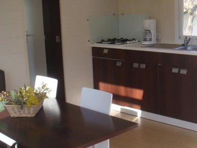 Cliquez pour découvrir toutes les photos de l'HÉBERGEMENT ! mobil-home - Les Gros Joncs photo 3