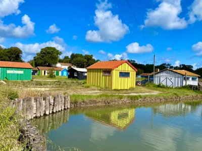 Cliquez pour découvrir toutes les photos de l'ÉTABLISSEMENT ! camping Les Gros Joncs photo 22