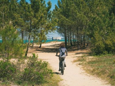 Cliquez pour découvrir toutes les photos de l'ÉTABLISSEMENT ! camping Les Gros Joncs photo 23