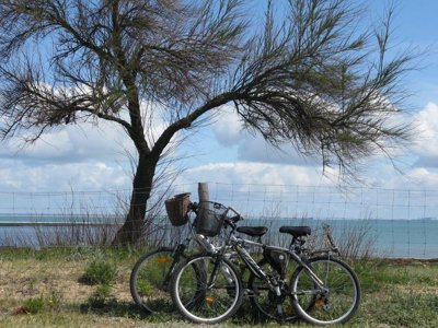 camping Les Coquettes photo 15