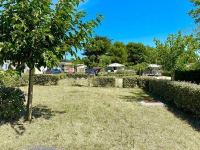 camping Les Coquettes photo 5