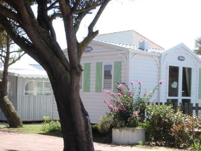 Cliquez pour découvrir toutes les photos de l'HÉBERGEMENT ! mobil-home - Barataud photo 2