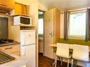 Cliquez pour découvrir toutes les photos de l'HÉBERGEMENT ! mobil-home - camping Barataud photo 3