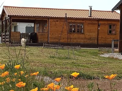 chalet - La Perle photo 1